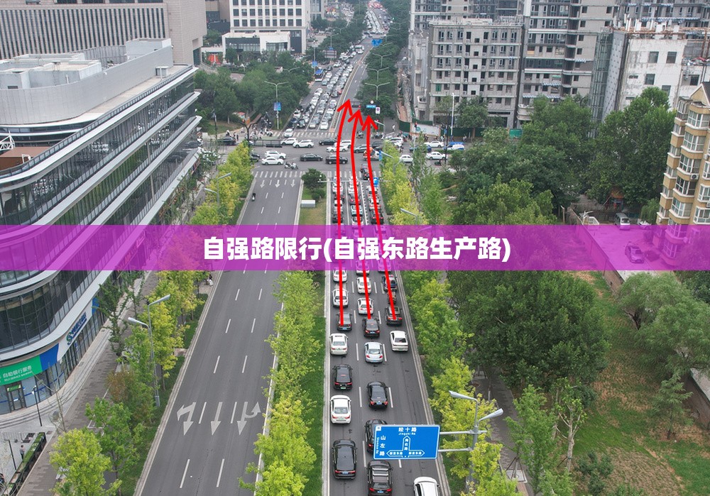 自强路限行(自强东路生产路) 自强路限行(自强东路生产路)