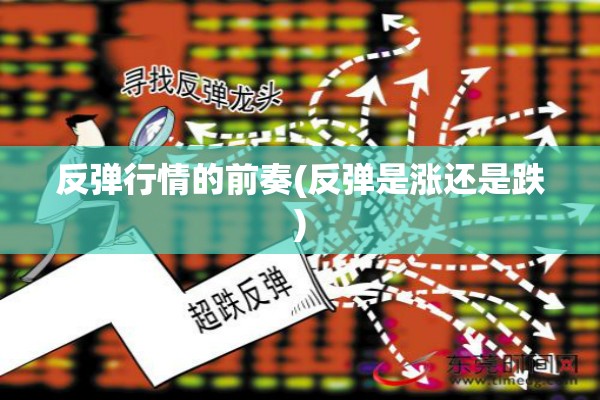 反弹行情的前奏(反弹是涨还是跌)