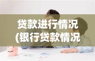 贷款进行情况(银行贷款情况说明)