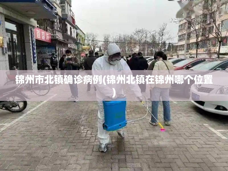 锦州市北镇确诊病例(锦州北镇在锦州哪个位置)