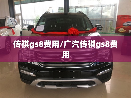 传祺gs8费用/广汽传祺gs8费用
