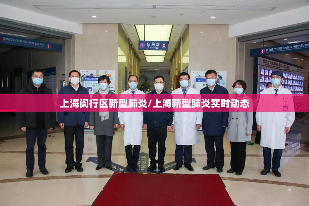 上海闵行区新型肺炎/上海新型肺炎实时动态 上海闵行区新型肺炎/上海新型肺炎实时动态