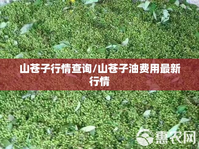 山苍子行情查询/山苍子油费用最新行情