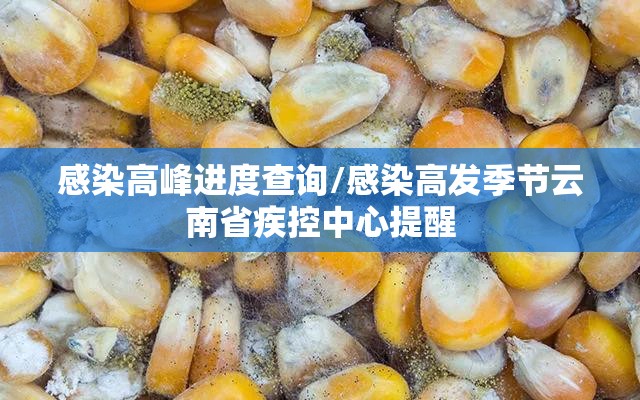 感染高峰进度查询/感染高发季节云南省疾控中心提醒