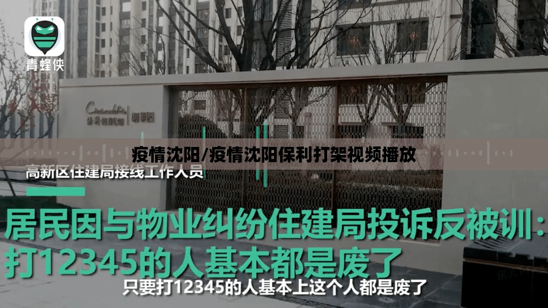 疫情沈阳/疫情沈阳保利打架视频播放 疫情沈阳/疫情沈阳保利打架视频播放
