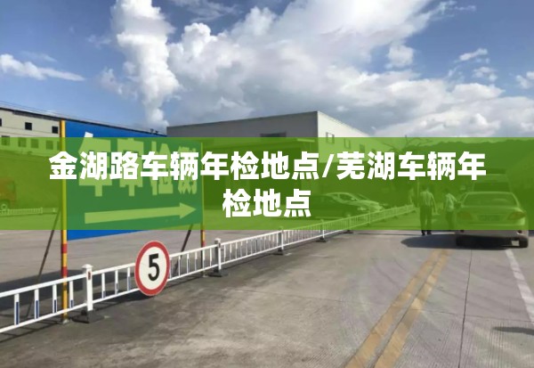 金湖路车辆年检地点/芜湖车辆年检地点