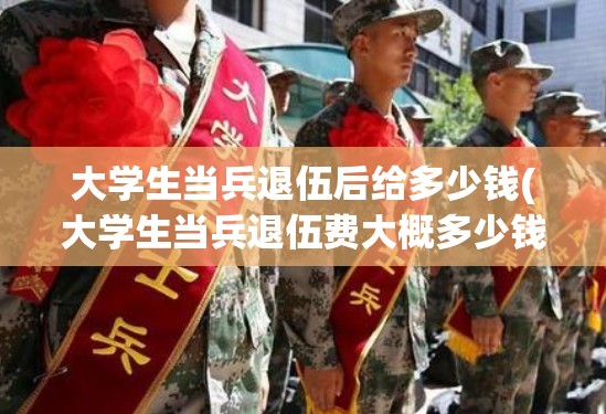 大学生当兵退伍后给多少钱(大学生当兵退伍费大概多少钱)