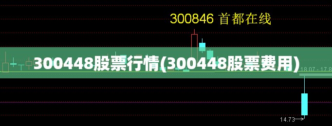 300448股票行情(300448股票费用)