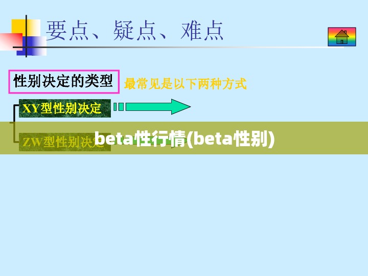beta性行情(beta性别) beta性行情(beta性别)