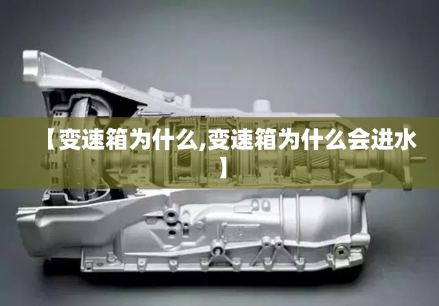 【变速箱为什么,变速箱为什么会进水】