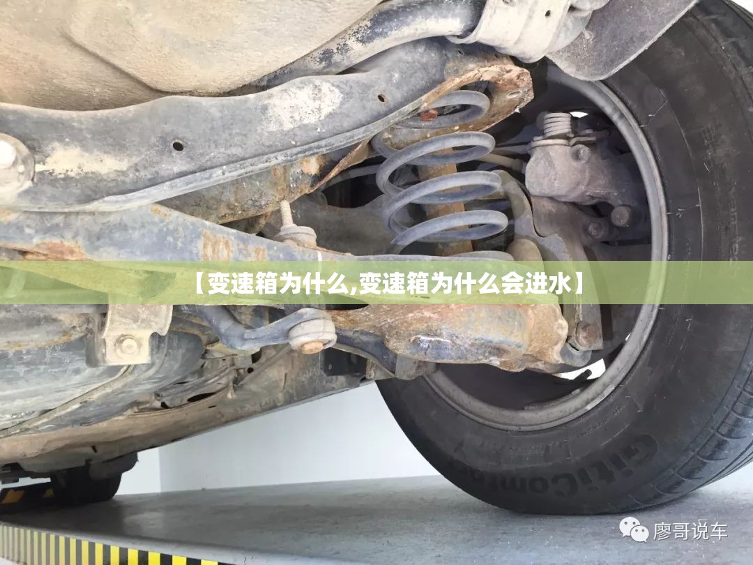 【变速箱为什么,变速箱为什么会进水】