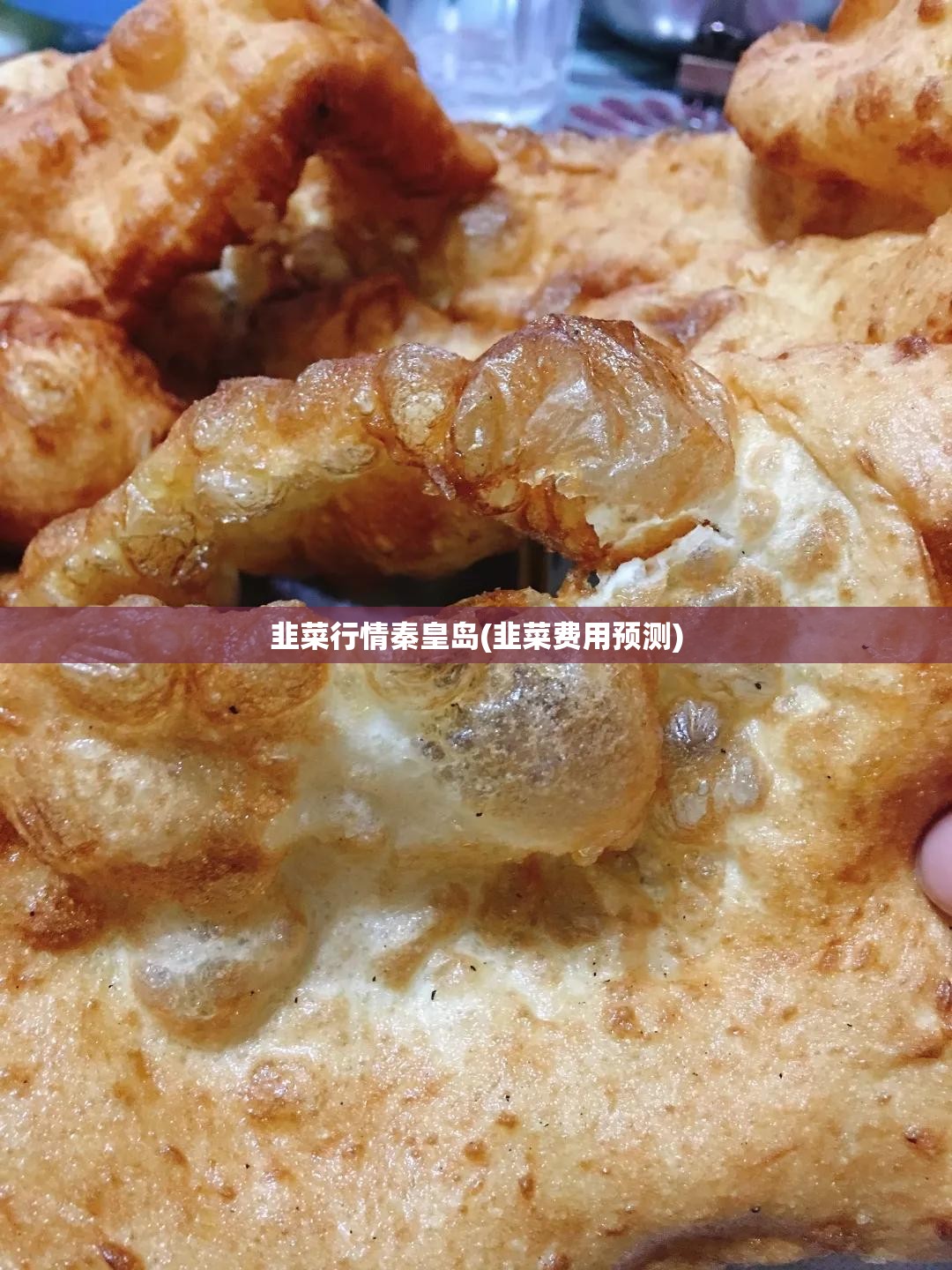韭菜行情秦皇岛(韭菜费用预测)