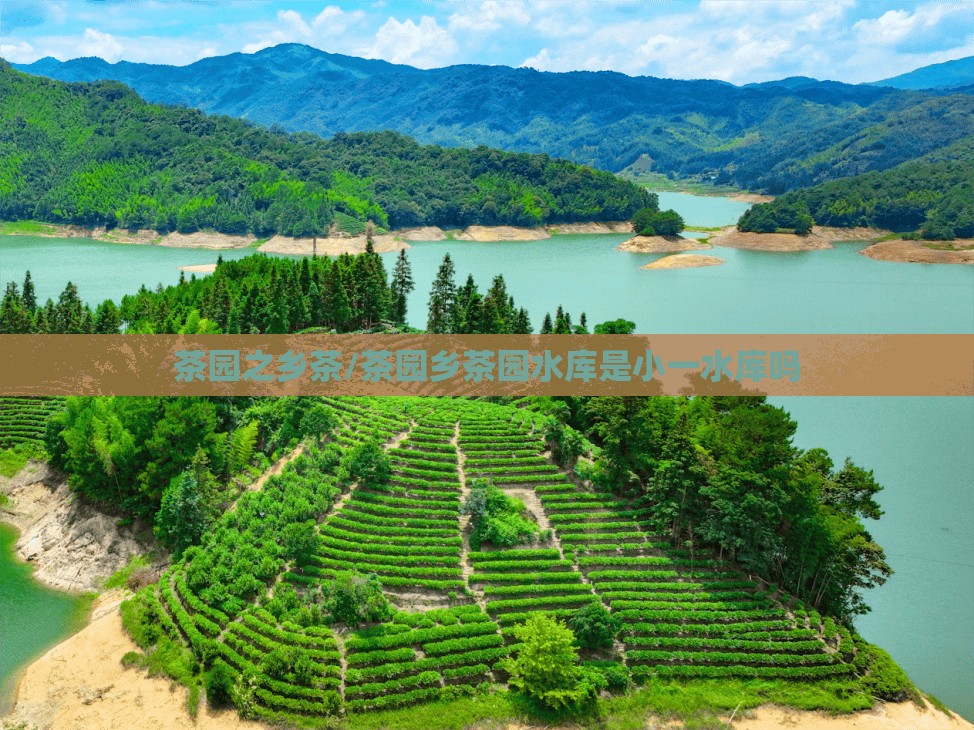 茶园之乡茶/茶园乡茶园水库是小一水库吗
