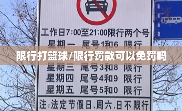 限行打篮球/限行罚款可以免罚吗 限行打篮球/限行罚款可以免罚吗