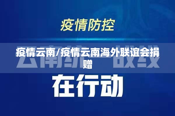 疫情云南/疫情云南海外联谊会捐赠
