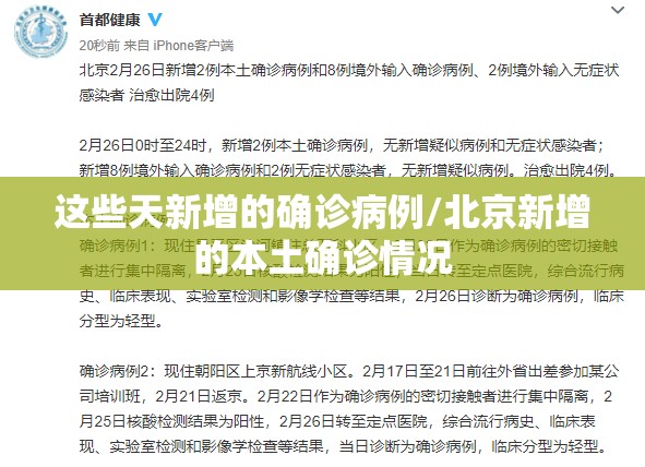 这些天新增的确诊病例/北京新增的本土确诊情况