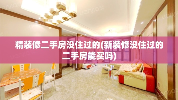 精装修二手房没住过的(新装修没住过的二手房能买吗)