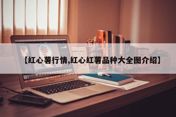 【红心薯行情,红心红薯品种大全图介绍】